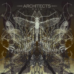 Architects - Ruin LP