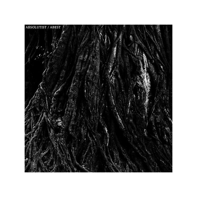 Absolutist / Abest - Split 7"