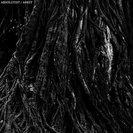 Absolutist / Abest - Split 7"
