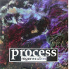 Process - Regeneration 12"
